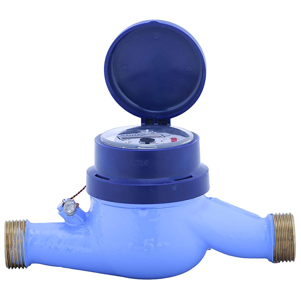 Water Flow Meter (Cold/Hot Water Meters, Domestic/Industrial Meters)